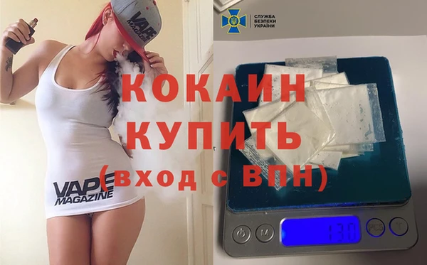 соль ск Арсеньев