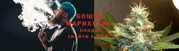 соль ск Арсеньев