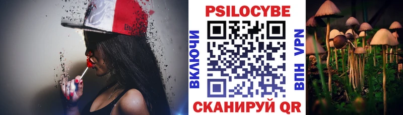 Галлюциногенные грибы Psilocybine cubensis  дарк нет состав  Арсеньев  купить наркотики сайты 